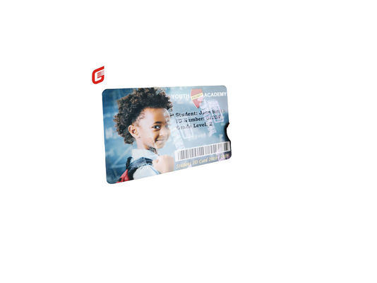 Zebra 800300-562 CN Fios anti-falsificação de prata perolada para impressora ZC300/ZC100