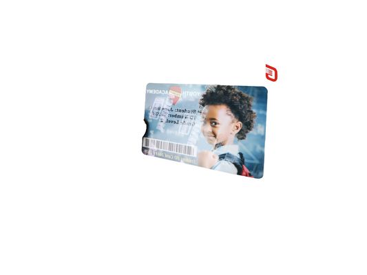 Fios de prata para impressora de cartões de plástico Zebra ZC300 ZC100