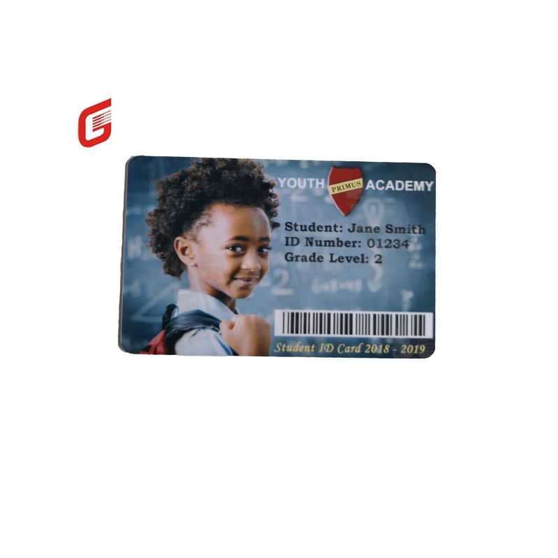 Zebra 800300-562 CN Fios anti-falsificação de prata perolada para impressora ZC300/ZC100